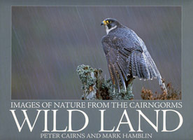 Wild Land - images of nature from the Cairngorms